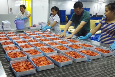 越南魚蝦1.5t隧道