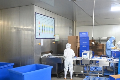 歐泰貢2.5t螺旋隧道