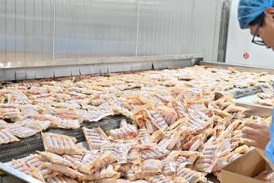 福建漳州2.5t隧道