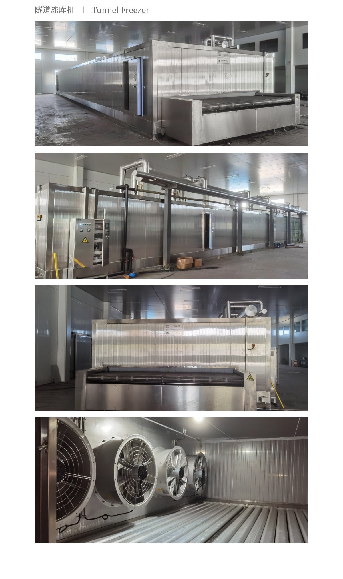 2023西藍花速凍隧道_03