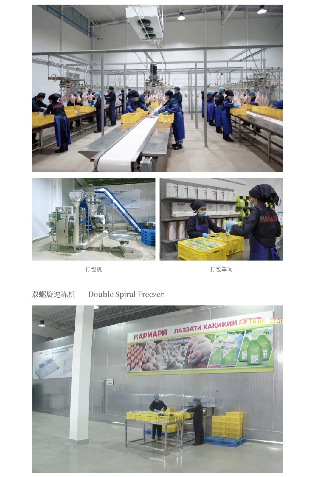 塔吉克斯坦禽類加工屠宰冷庫_04