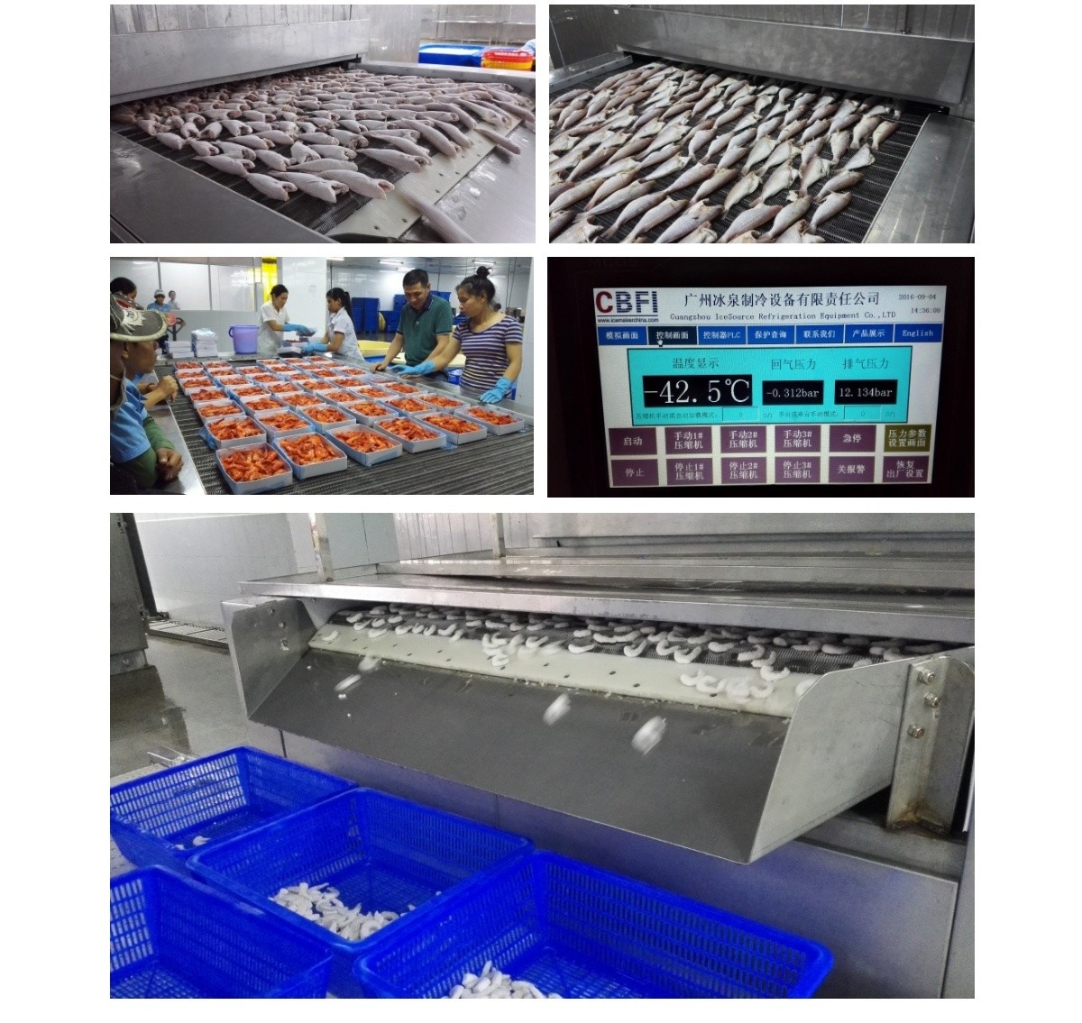 2016越南魚蝦隧道速凍庫_04