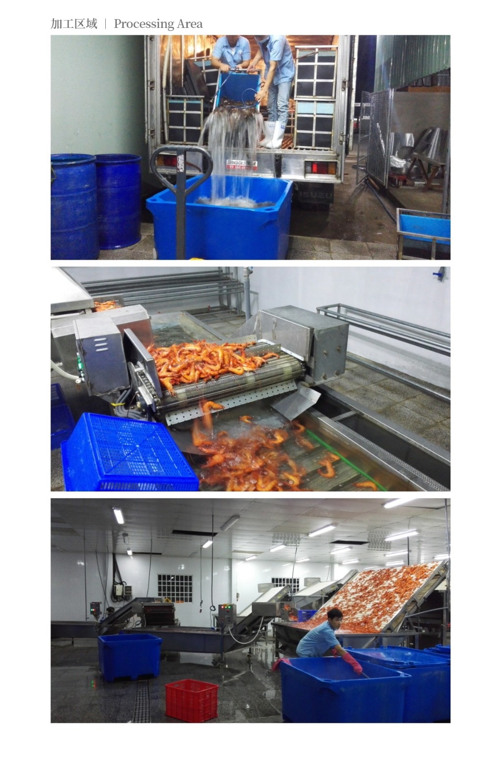 2016越南魚蝦隧道速凍庫_05